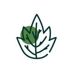 Isolated natural leaf half line half color style icon vector design