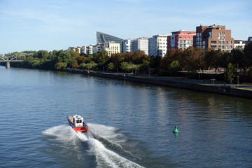 Obraz premium Boot auf dem Main in Frankfurt