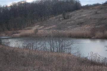 Fototapeta premium Winter landscape of a frozen lake surrounded by trees. Kharkov, Ukraine.