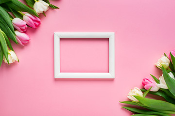 Top view of white frame with tulips on pink background with copy space