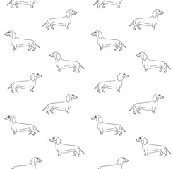 Vector seamless pattern of hand drawn doodle sketch dachshund dog isolated on white background