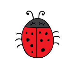 Vector hand drawn doodle sketch red ladybug isolated on white background
