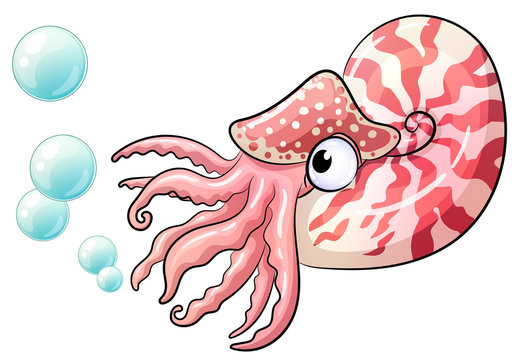Niedliche Nautilus- Vektor-Illustration