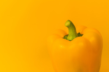 Yellow bell pepper on a yellow background. Close-up