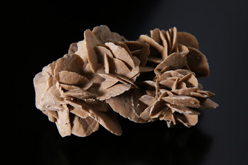 Minerali: campione di rosa del deserto isolato su fondo nero, still life