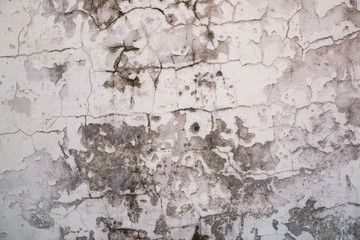 White cement wall with Mold texture background