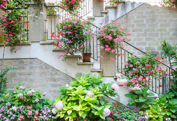 Italy. Exterior stairs of a cottage in the Tuscan countryside decorated with multicolored flower pots