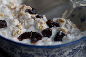 Close up of oat flakes with cranberry and natural yogurt in a bowl, delicious and healthy breakfast for people on a diet