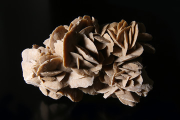 Minerali: campione di rosa del deserto isolato su fondo nero, still life