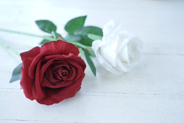 2  rose flower, valentine day background concept                    