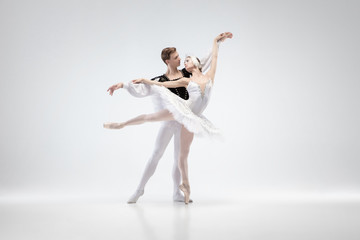 Love. Graceful classic ballet dancers dancing isolated on white studio background. Couple in tender white clothes like a white swan characters. The grace, artist, movement, action and motion concept. - obrazy, fototapety, plakaty
