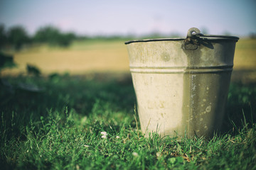 Close up of one rusty iron bucket on grass in the garden. Dirty gray metallic bucket with garbage on barnyard at sunny day. Gardening background. Containers for storing feed, trash, water, paint