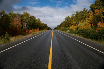 A two lane road of dark wet black asphalt with a single yellow line down the middle. There are...