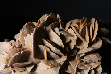 Minerali: dettaglio di rosa del deserto isolato su fondo nero, still life