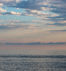 Summer hot evening on the Black Sea in Sochi