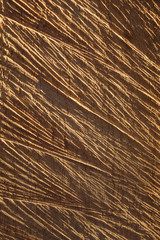 Obraz premium Isolated wooden texture closeup in sunlight. Minimalism. Copy space. Close up.