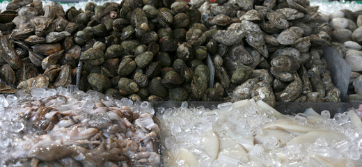 fresh fish in the market