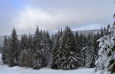 mountain landscape in winter on snow