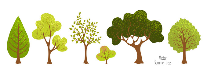 Summer trees, bush. Set of green plants. Elements for vector flat design. Landscape. Nature