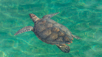Ile de la R&eacute;union