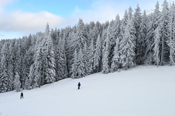 Skier on a mountain trail