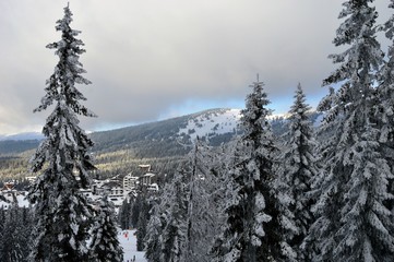 mountain landscape in winter on snow