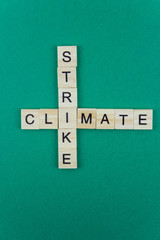 Climate strike, Ecology and green planet minimalistic concept. Isolated wooden letter blocks with word cloud Ecology 