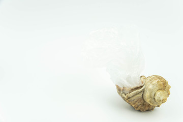 Plastic pollution in ocean concept. Carrier bags in sea shell. Shellfish in bad ecology concept.
