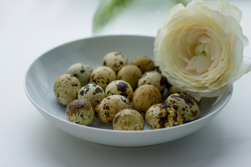 Composition of quail eggs in a white bowl and ranunculus flower. Symbol of the easter season.