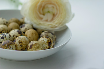Composition of quail eggs in a white bowl and ranunculus flower. Symbol of the easter season.