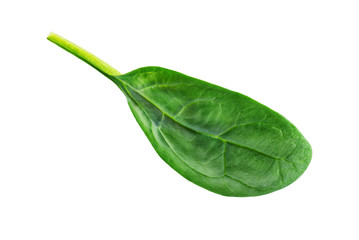 Spinach leaves on a white isolated background