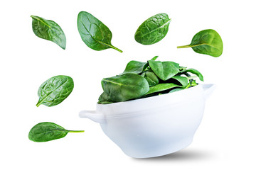Spinach leaves on a white isolated background