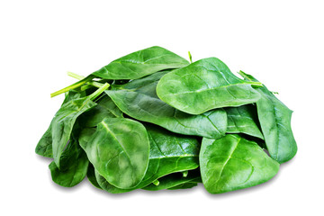 Spinach leaves on a white isolated background