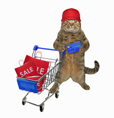 The beige cat in a red cap with a credit card in his paw is pushing the metal shopping cart full of...