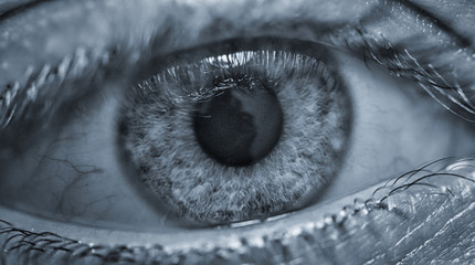 Auge,Iris,Blau,Nahaufnahme,Blick