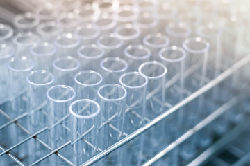 laboratory test tubes in rack