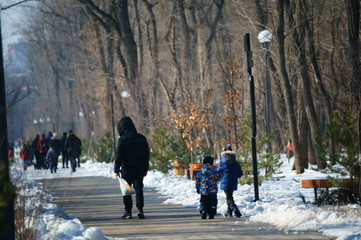 people walking in park in winter
