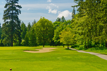 Obraz premium Golf place with gorgeous green and sand bunker.