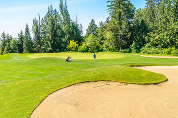 Golf course with female golfer, gorgeous green and sand bunker