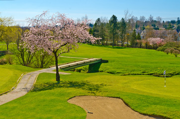 Golf place with gorgeous green and bridge