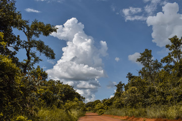 Estrada de terra laranja em bioma de Cerrado