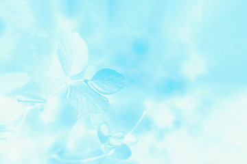 Fototapeta na wymiar Blueaquamarine color gradient background with leaves pattern