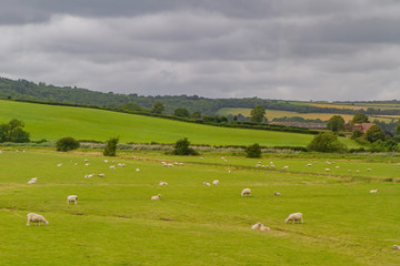 Rural landscape near Arundle