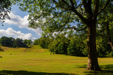 Obraz premium Natural landscape near the Royal Observatory Greenwich