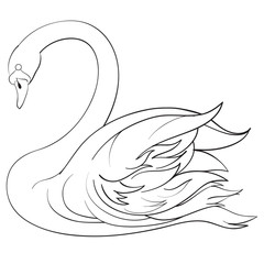 Naklejka premium decorative swan swims in the water, bowing its head low, outline drawing, isolated object on a white background,