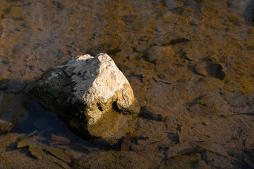 a rock in the clear water