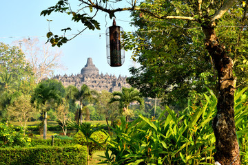 Fototapeta premium Dawn view of the Borobudur, Buddhist temple in Java