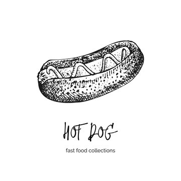 Hand Drawn Ink Sketch Hot Dog. Engraving Style. Fast Food Breakfast Collection. Good Idea For Your Cafe Menu Design, Street Festival Flyer, Sticker, Tattoo, Fashion Print.