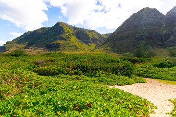 Fototapeta na wymiar Hawaiian mountains