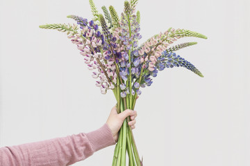 woman holding colorful lupine flower bouquet in hand